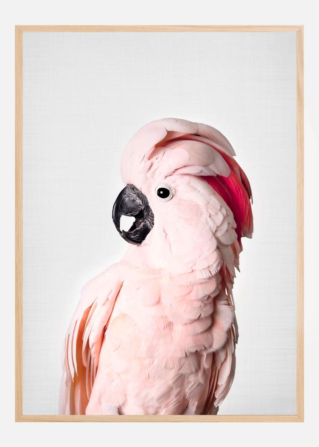 Pink Cockatoo Plakat