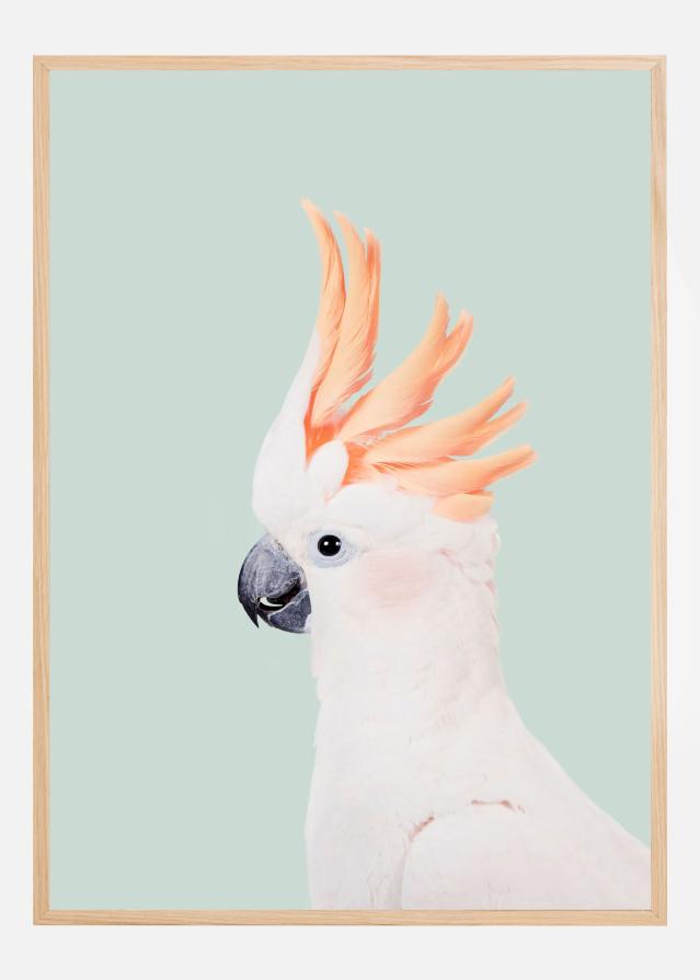 Cockatoo on Mint Plakat