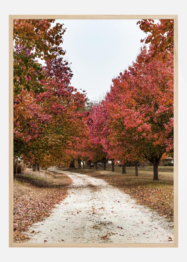 Autum Road Plakat