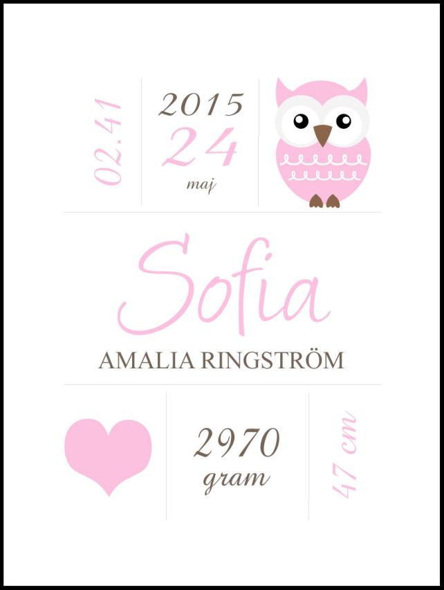 Owl Birth Plakat Pink