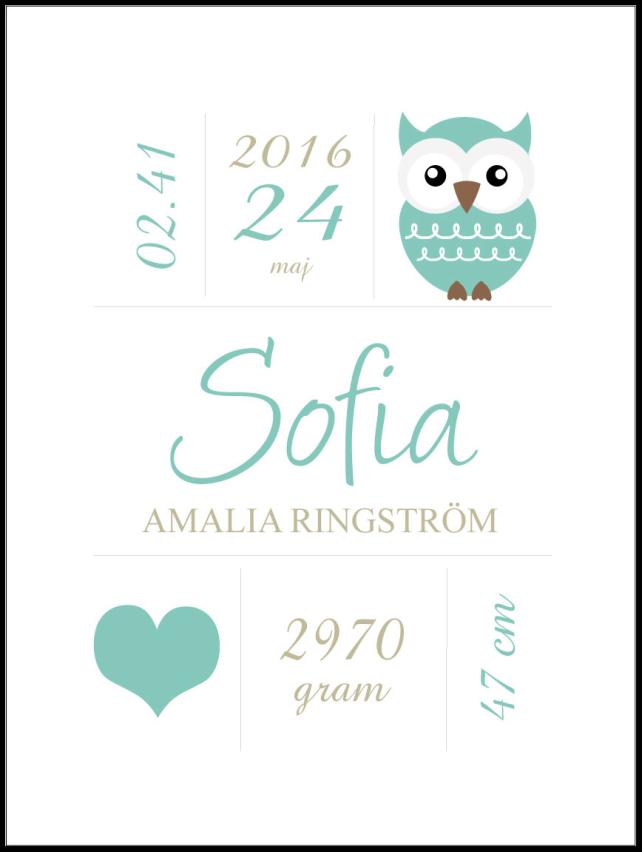 Owl Birth Plakat Turquoise