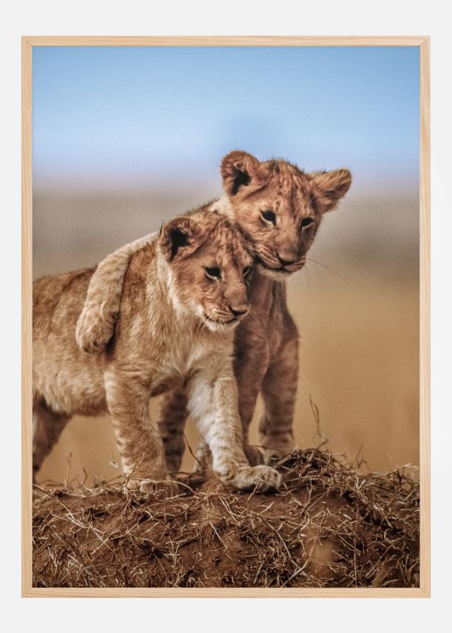 Lion Brothers For Life Plakat