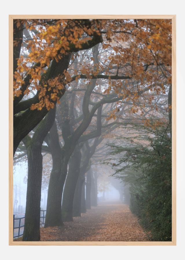 Autum Stroll Plakat