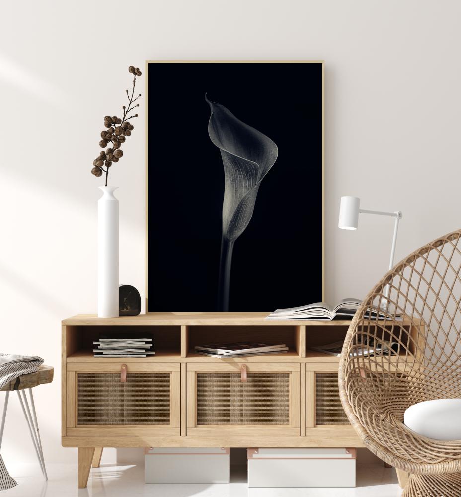 Calla Lily Plakat