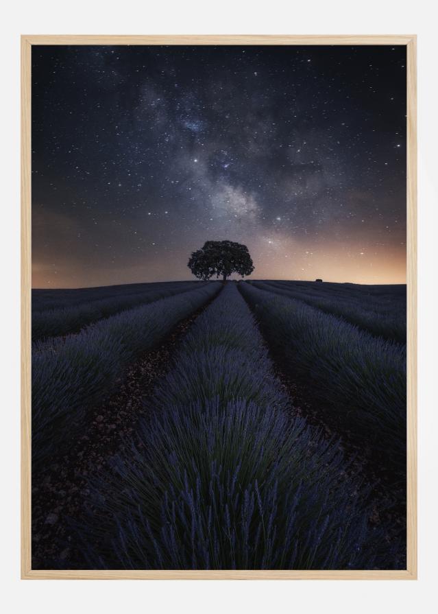 The Lonely Tree Plakat