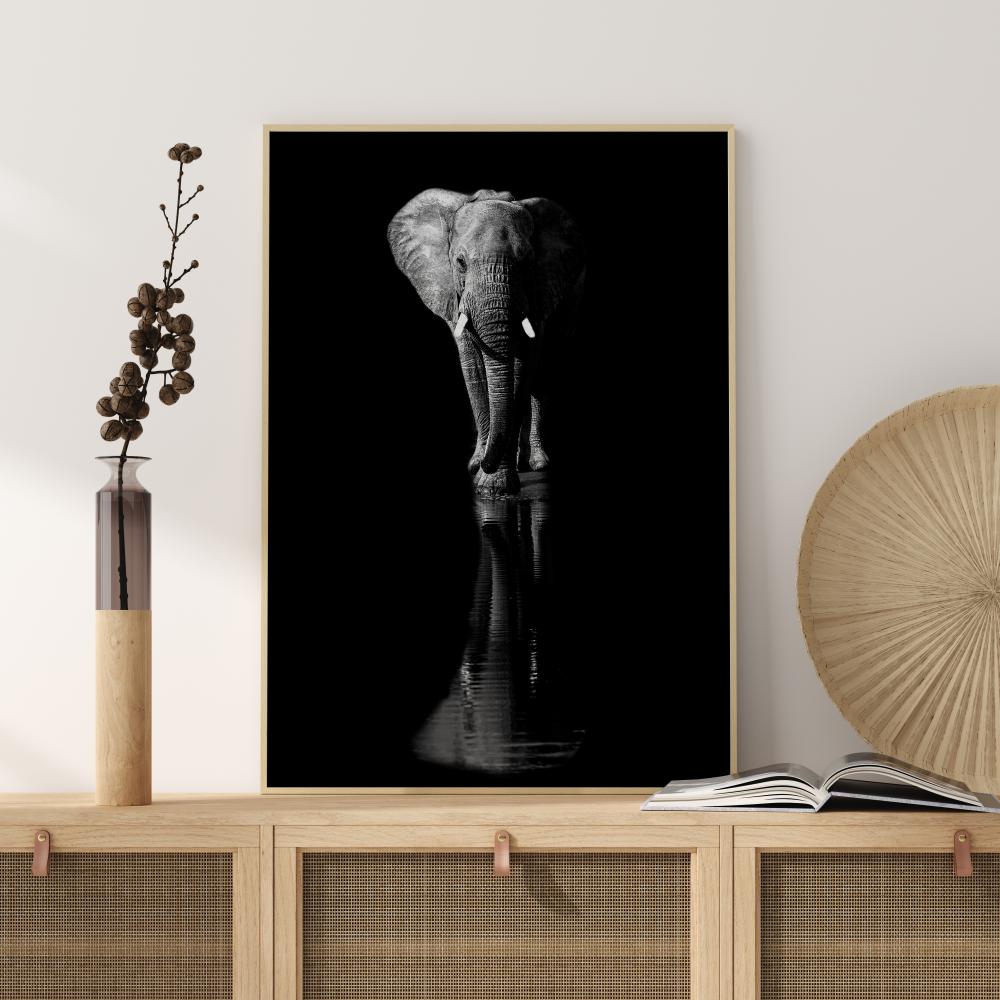 Elephant Plakat