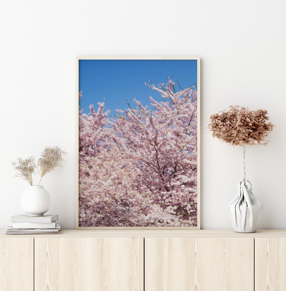 Cherry-Tree Plakat