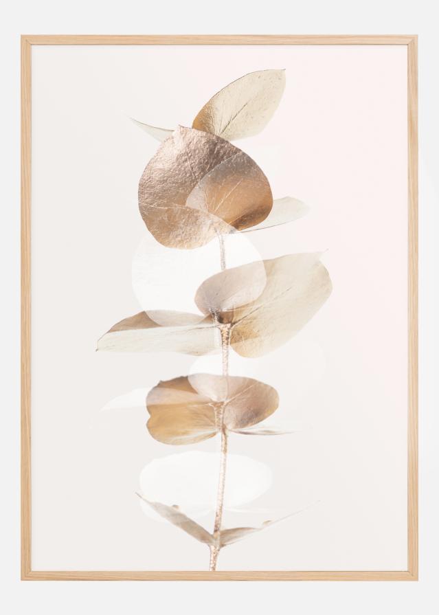 Eucalyptus Creative Gold III Plakat