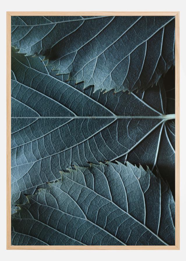 Blue Leaves Plakat