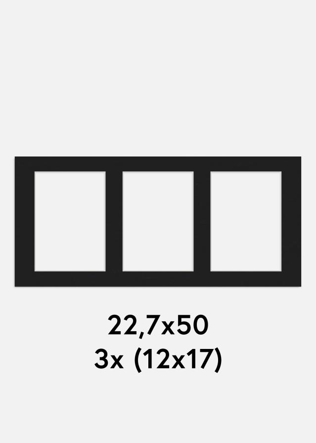 Paspartu Crno 22,7x50 cm - Kolaž 3 Slike (12x17 cm)