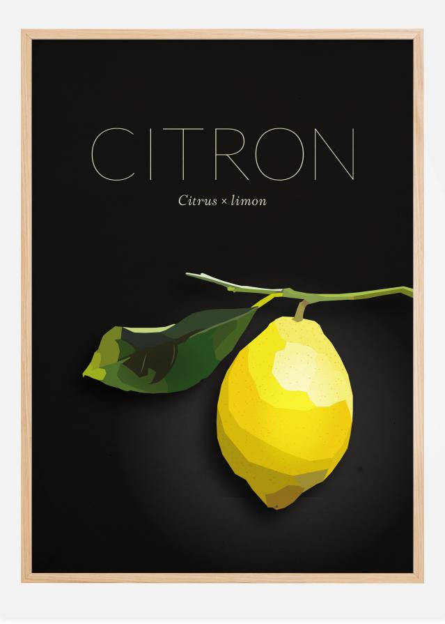 Citron Plakat