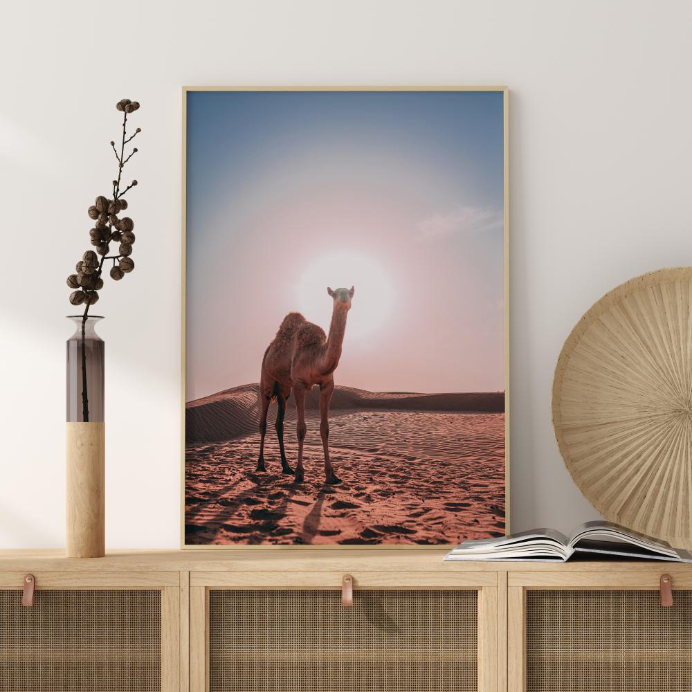 Camel Plakat