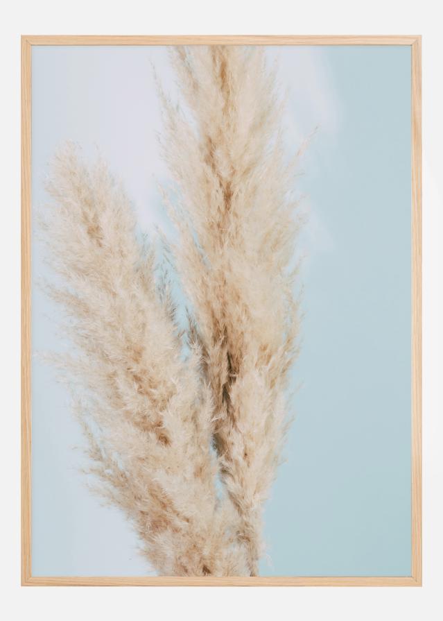 Pampas Grass Blue Plakat