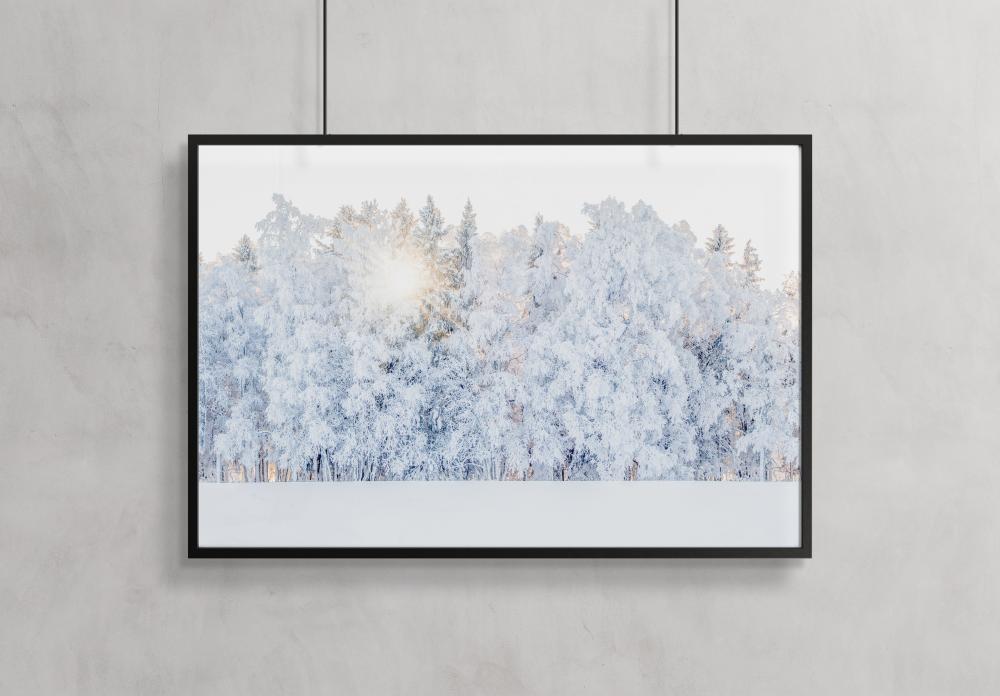 Winter light Plakat