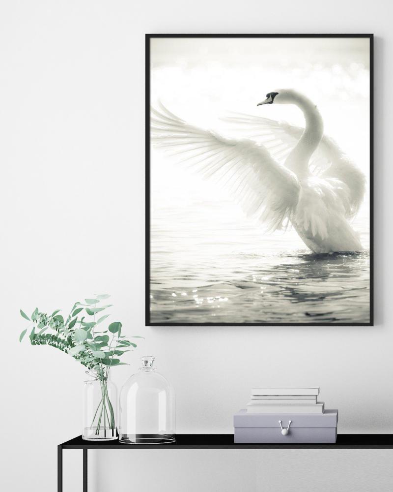 Swan Plakat