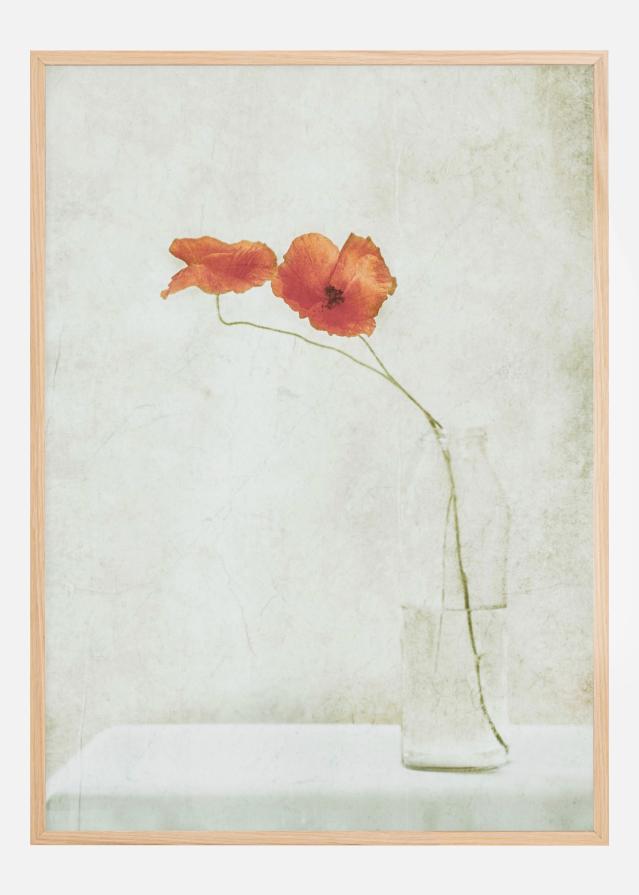 Two Poppies In A Bottle Plakat