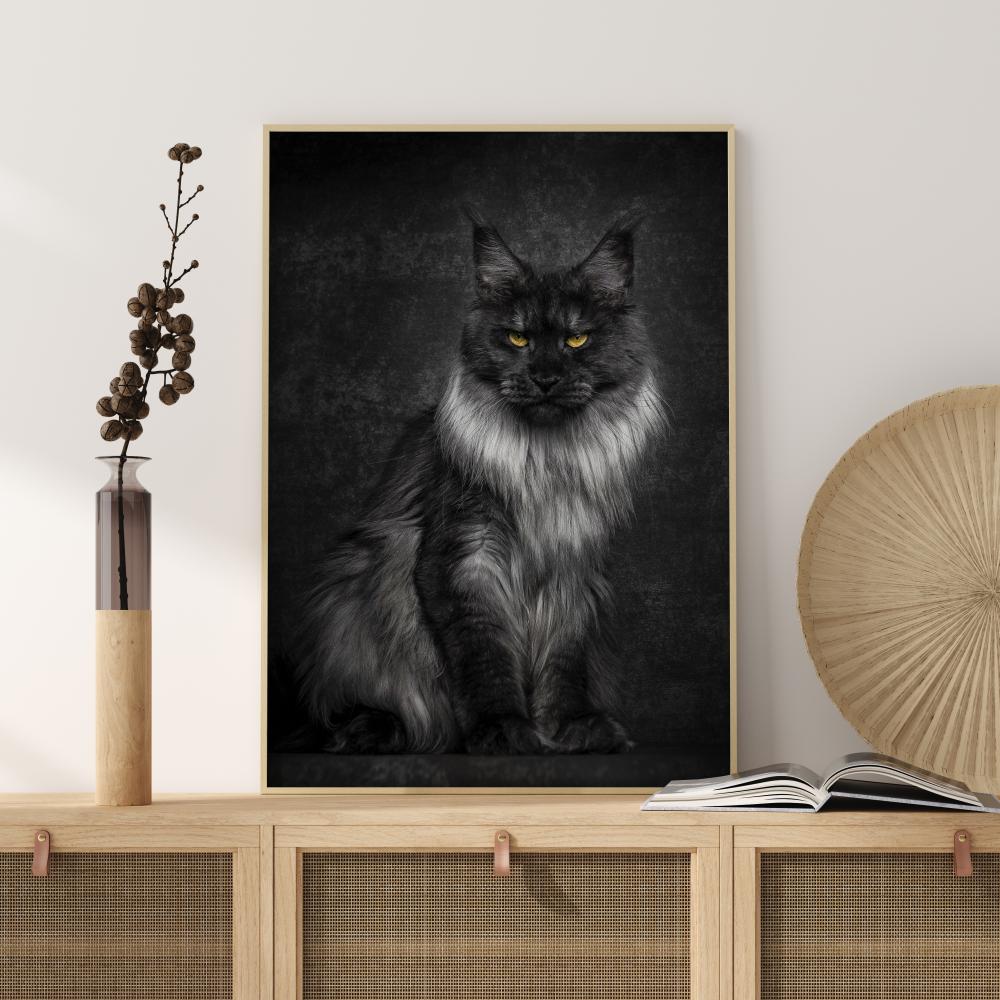 Maincoon Plakat