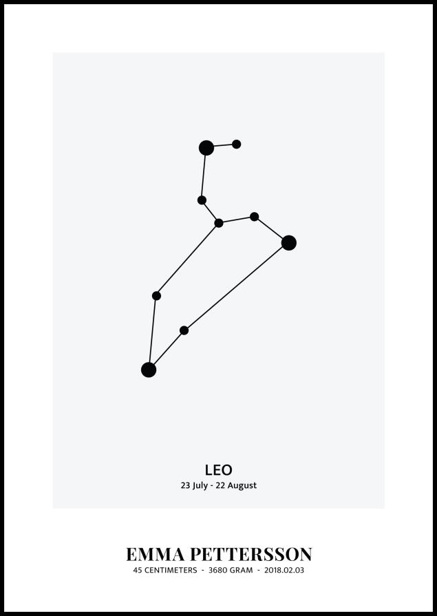 Leo - Horoskopski znak