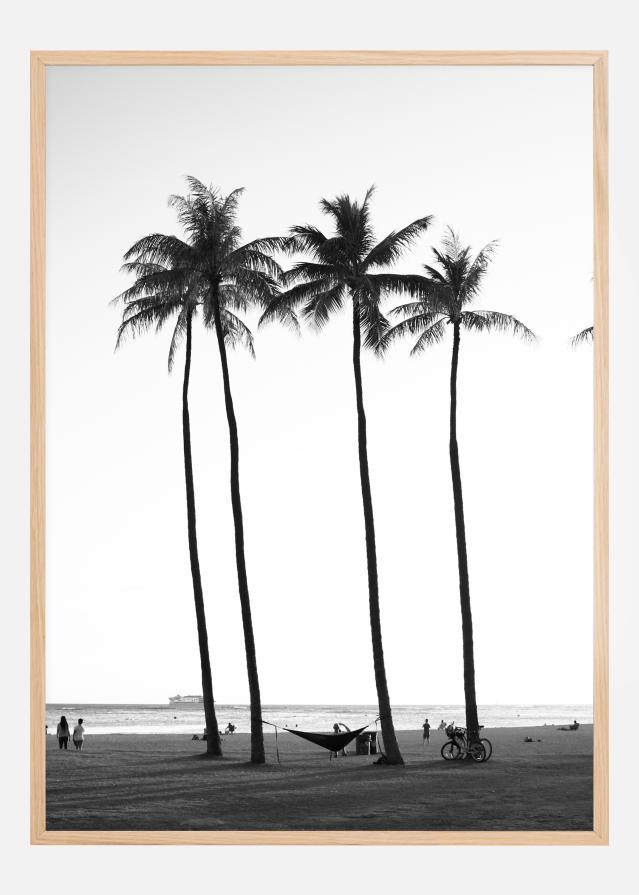 Black And White Palm Trees Plakat