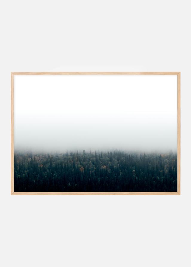 Forests in fog Plakat