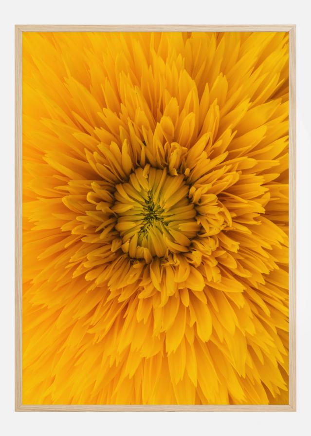 Upclose Flower Plakat