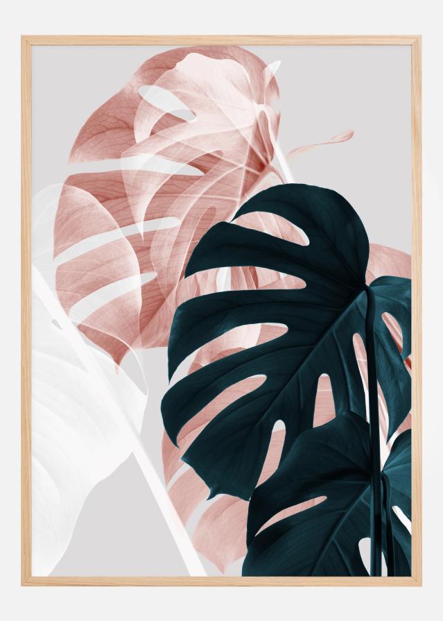 Monstera Creative I Plakat