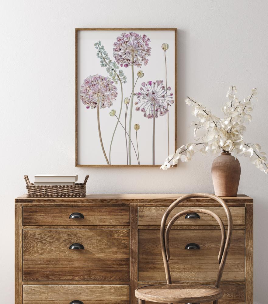 Allium Plakat