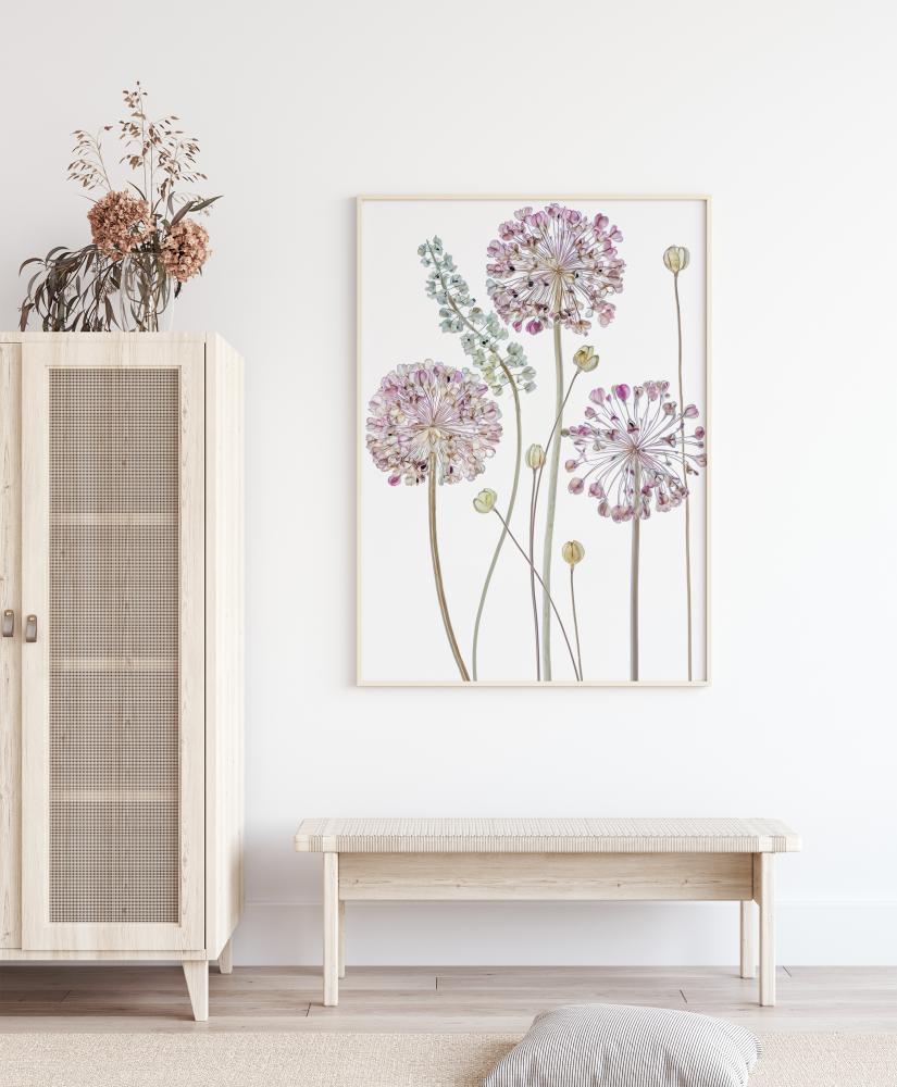 Allium Plakat