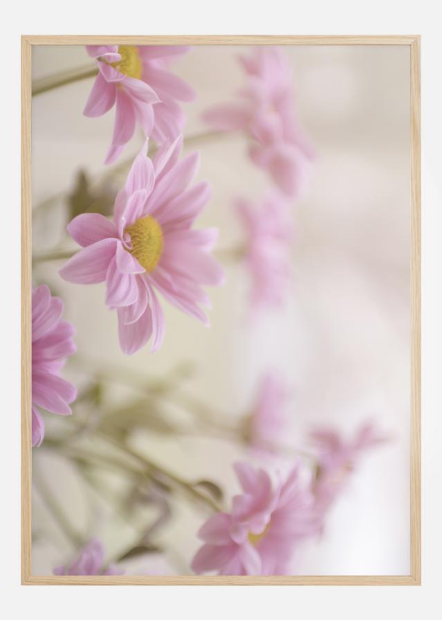 Pink Flowers Plakat