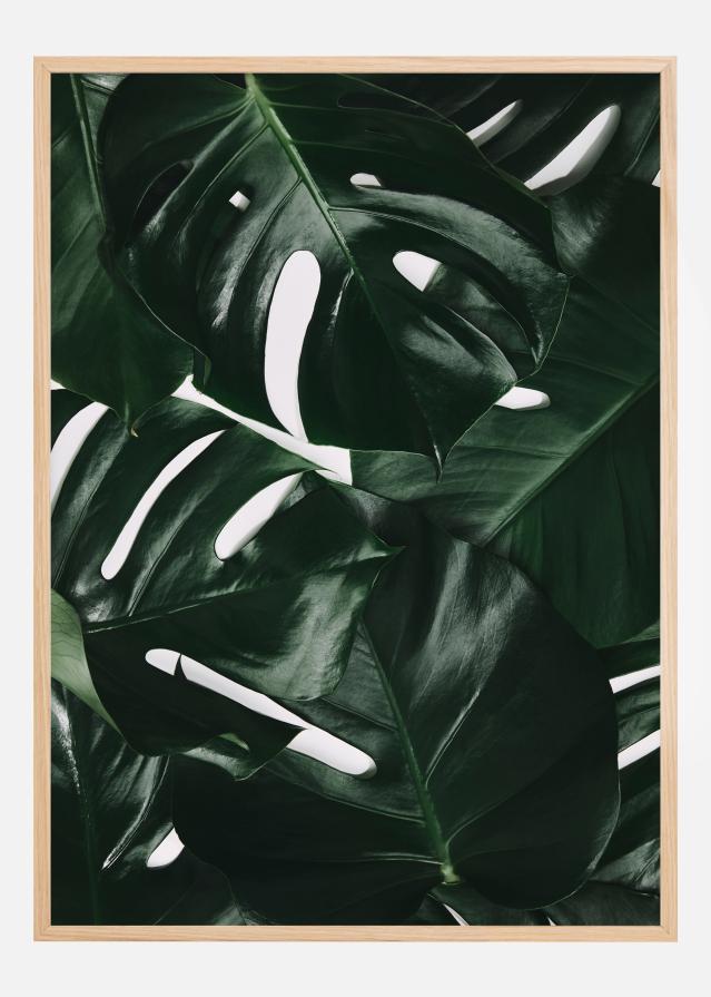 Monstera Plant I Plakat