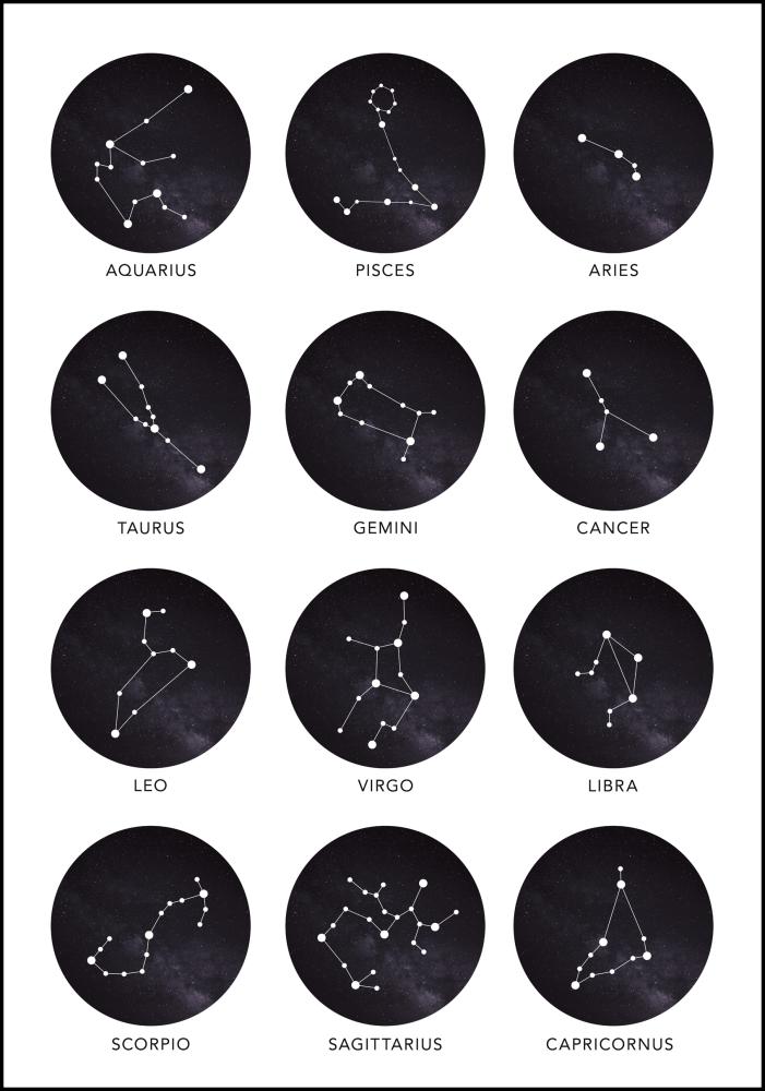 Zodiac Signs Plakat