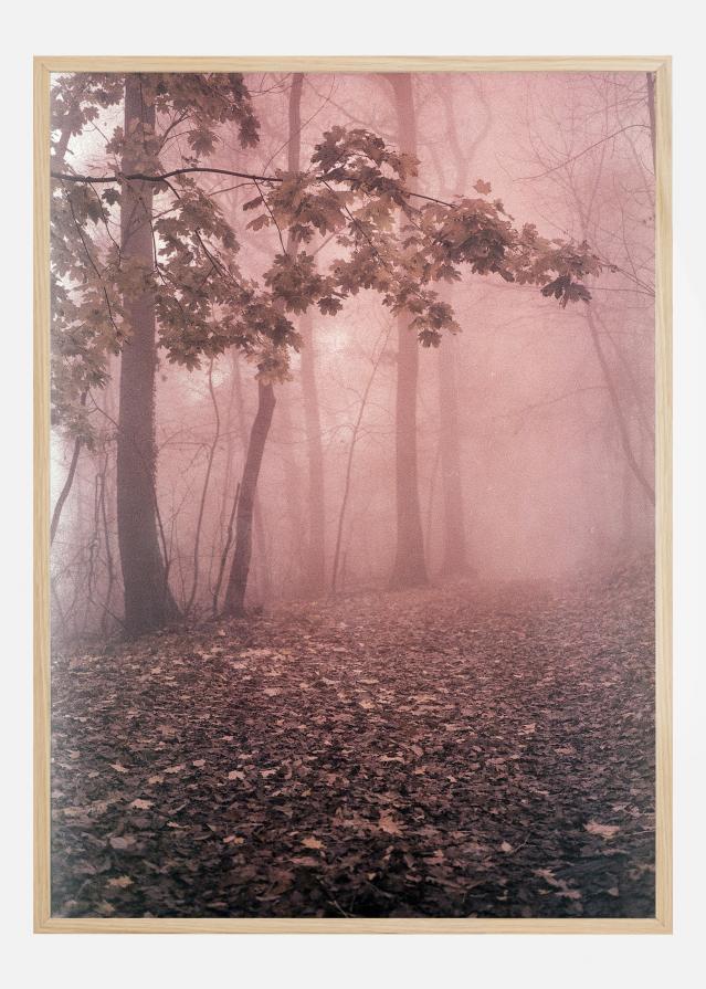 Pink Forrest Plakat