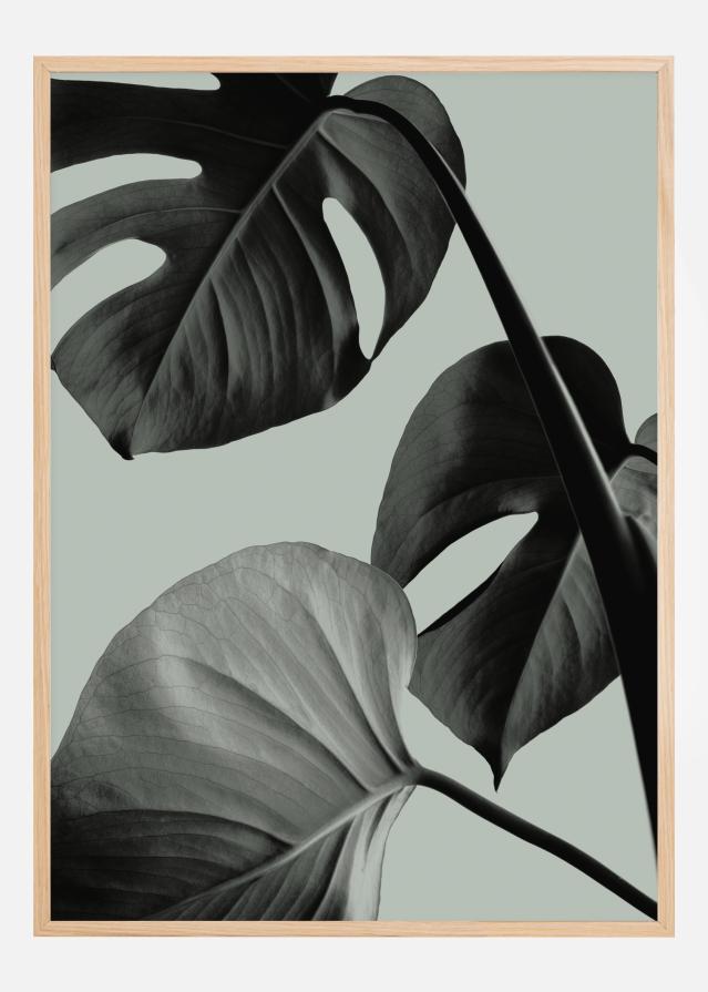 Monstera Teal I Plakat