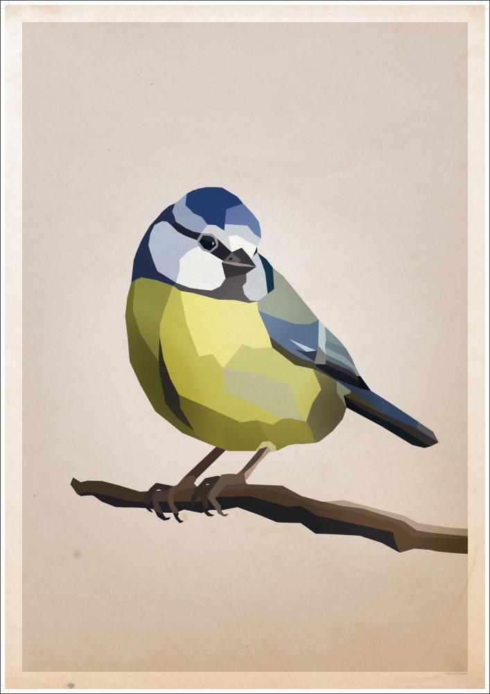 Blue tit Plakat