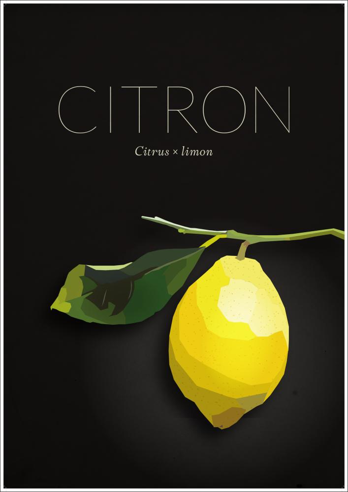 Citron Plakat