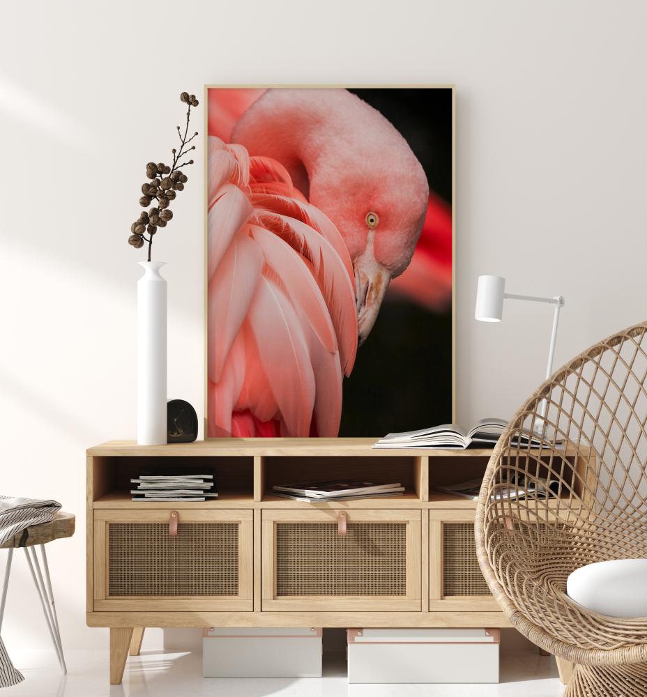 Flamingo Plakat