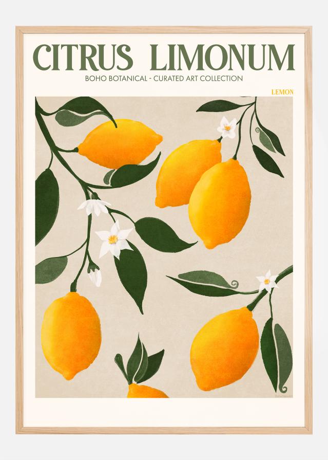 Boho Citrus Limonum Plakat