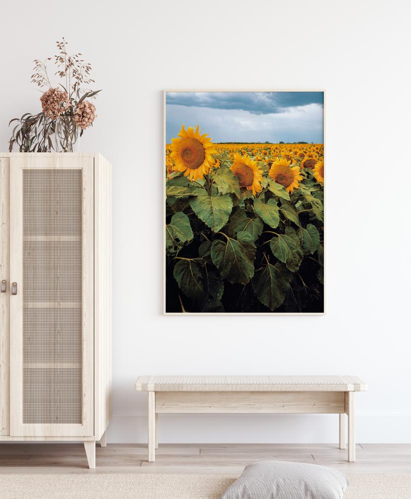 Sunflowers Plakat