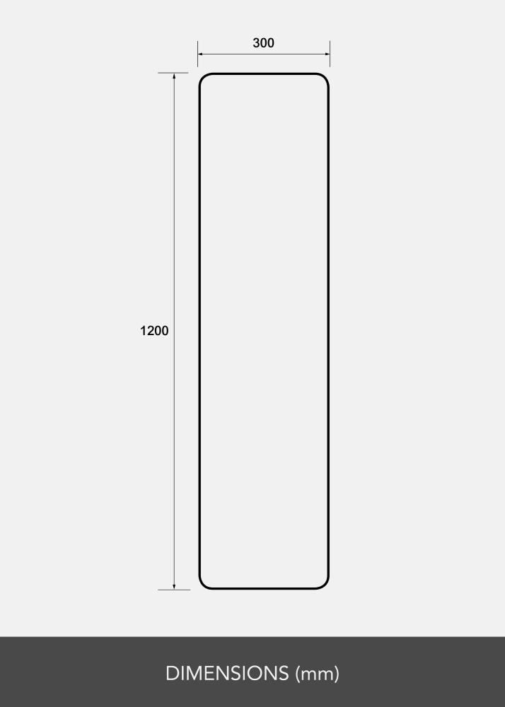 Ogledalo Rectangle L 30x120 cm