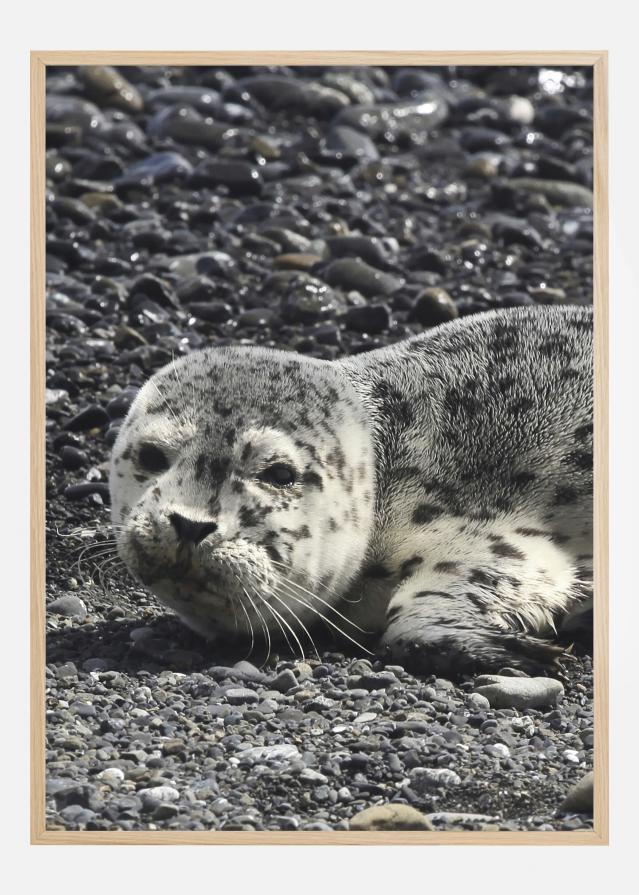 Seel Plakat