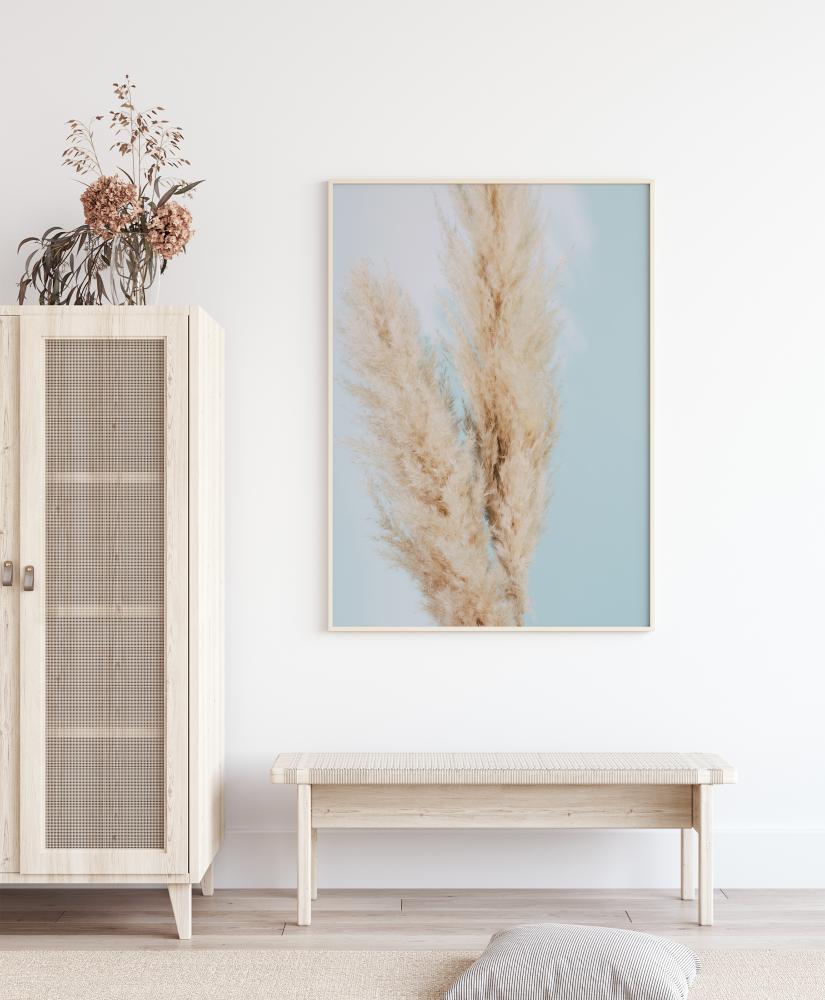 Pampas Grass Blue Plakat