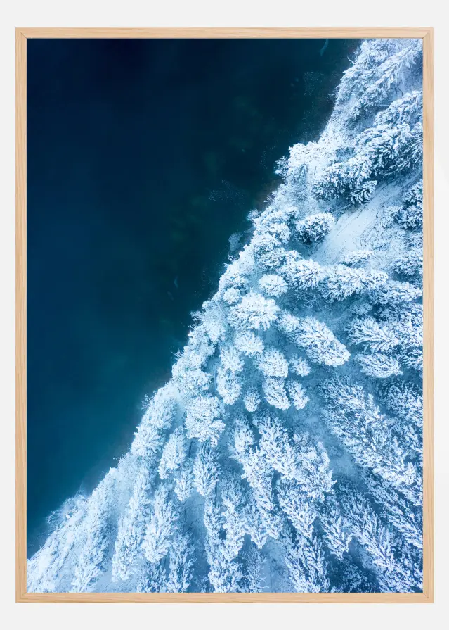 Frosty Forest Plakat