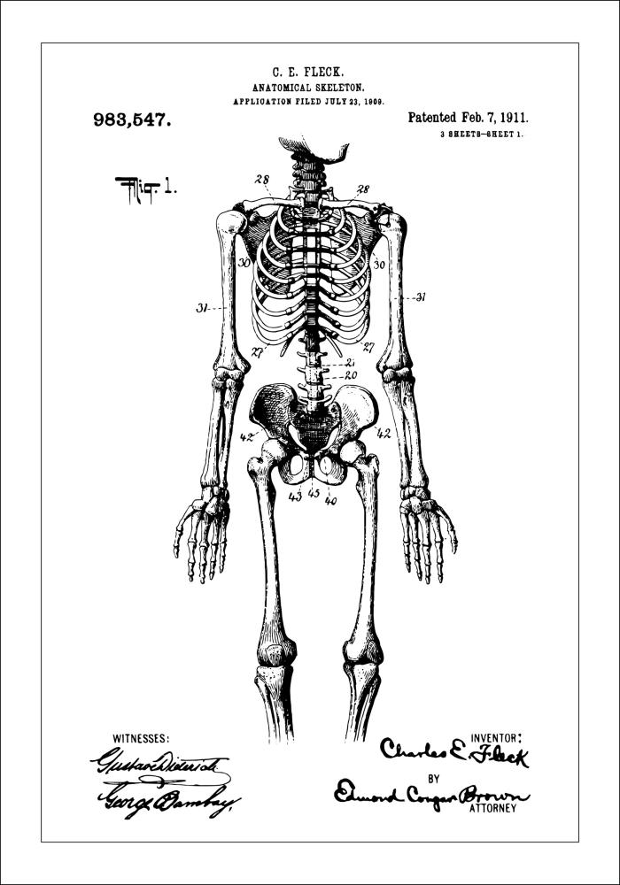 Patentni crtež - Anatomski kostur u Plakat