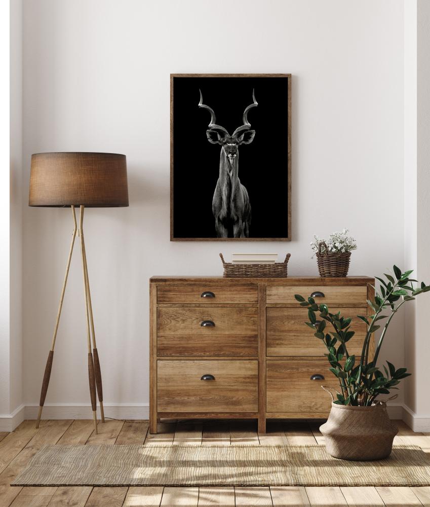 Greater Kudu Plakat