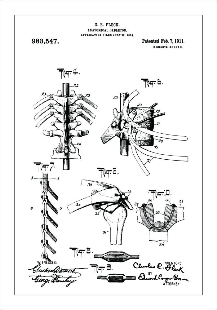 Patentni crtež - Anatomski kostur III Plakat