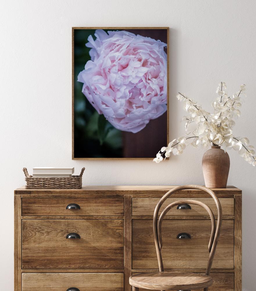 Peony I Plakat